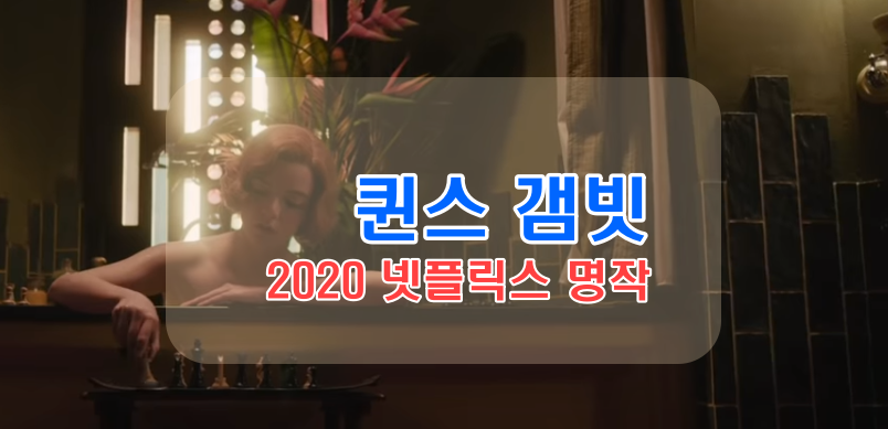 2020년 넷플릭스 명작_신작추천