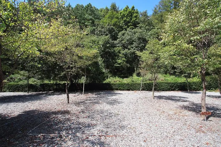 아빠의나무 야영장