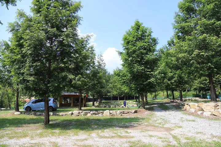 치악신림오토캠핑장 