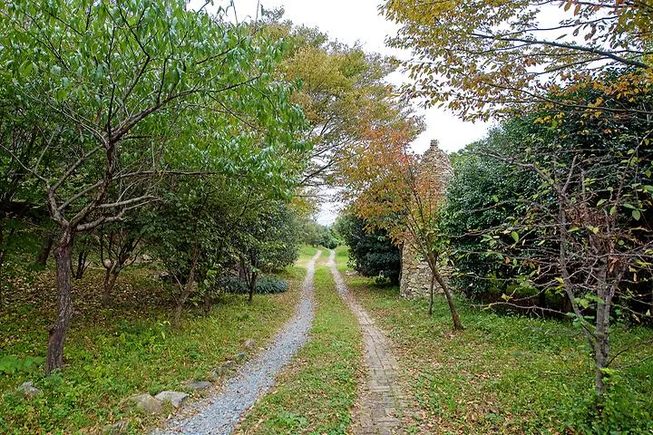 주작산자연휴양림 야영장