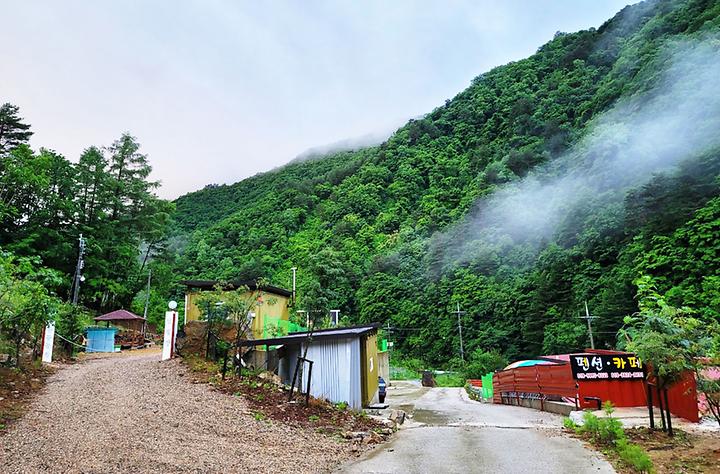 대기리 숲속 관광농원(바람부리별밤캠핑장)