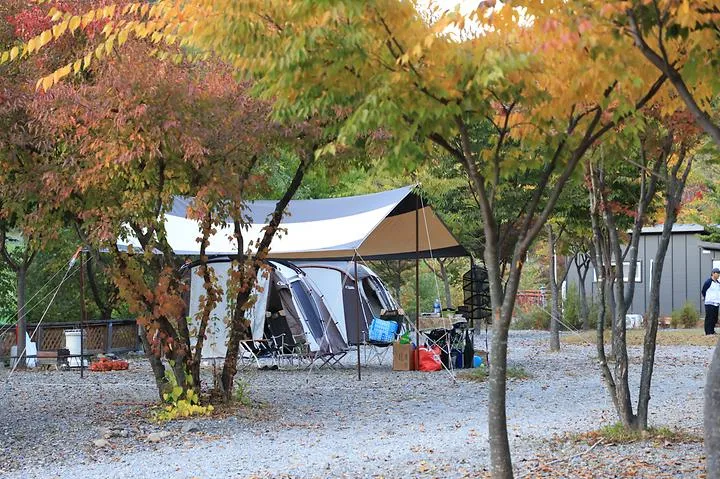 아빠가 만든 캠핑장 